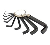 Sešstūra atslēgu komplekts 2-14 mm, /hex/ 10 gab. (56400)