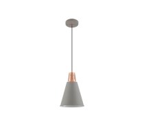 Griestu gaismeklis GIANNI,8051,AC220-240V,50/60Hz,1*E27, maks.40W,IP20, Diametrs 22cm, viens, pelēks/zelts