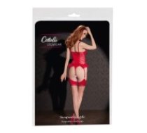 cottelli legwear 2