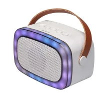 BT Denver BTM-610 RGB Speaker with a microphone (BTM-610)