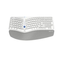 Bezvadu ergonomiskā tastatūra Delux GM901D BT + 2.4G (balta)