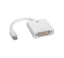 V7 balts video adapteris Mini DisplayPort vīrs un DVI-D vīrs