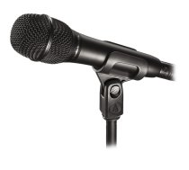 AT2010, mikrofons