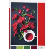 Clementoni, Pantone, Goji Berry, Puzzle, 1000 pcs, Unisex