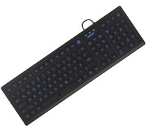 KeySonic KSK-8031INEL tastatūra USB QWERTZ vācu melna