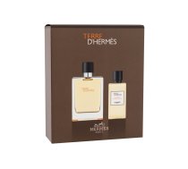 Terre d´Hermes Eau de Toilette , 100ml 100 ml