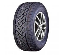 WINDFORCE SNOWBLAZER 205/55R16 91H