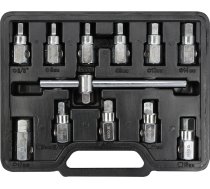 12-piece Universal Drain Plug Key Set (YT-0600)