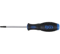Screwdriver | T-Star (for Torx) T20 (4919)