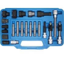 Alternator Bit and Socket Set | 22 pcs. (4247)