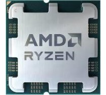 AMD Ryzen 9 9900X processor