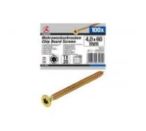 Daudzfunkcionālas dzenskrūves T-Star (Torx) T20 | 4,0 x 60 mm | 100 gab. (80996)