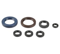 Oil Seal Kit engine EXC 520 / 525