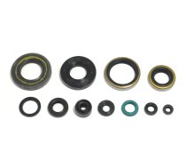 Oil Seal Kit engine Kawasaki KX 250