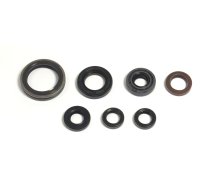 Oil Seal Kit engine Yamaha YZF 250