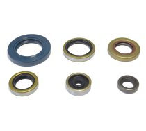 Oil Seal Kit engine SX / TC / MC 65