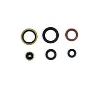 Oil Seal Kit engine SX 125