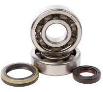 Crankshaft Bearings and Oil Seals Hot Rods RM 125 1992-1998