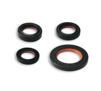 Oil Seal Kit Malossi FKM / PTFE Piaggio Zip / Typhoon