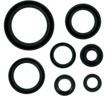 Oil Seal Kit Moose Racing RM 250