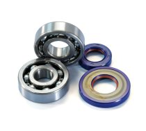 Bearing + Oil Seal Kit for crankshaft Polini (19mm journals) Vespa 50cc PK / 125cc Primavera