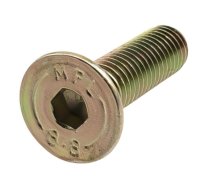 Fuel Tank Mounting Screw M8x30mm