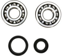 Crankshaft Bearing + Oil Seal Kit Prox RM 85