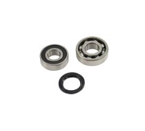 Crankshaft Bearing Set Solex