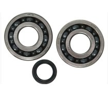 Crankshaft Bearings + Oil Seals Yamaha Majesty 125cc 4-stroke