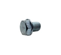 Oil Drain Screw M10 Pit Bike 50cc