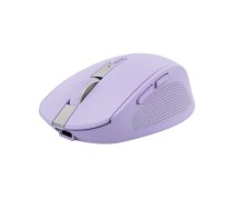 USB 3.0|Optical|1200 dpi|Number of buttons 6|Wireless range 10 m|Bluetooth|Battery Lithium-Ion rechargeable|Colour Purple|Weight 0.069 kg