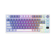 Mechanical keyboard Royal Kludge RKM75 RGB, Silver switch (blue)