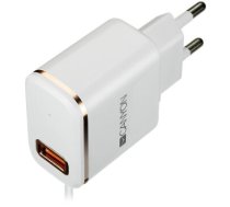 CANYON Universal 1xUSB AC charger (in wall) with over-voltage protection, plus lightning USB connector, Input 100V-240V, Output 5V-2.1A, with Smart IC, white(rose-gold electroplated     stripe), cable length 1m, 81*47.2*27mm, 0.059kg