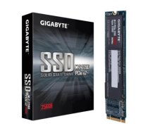 SSD M.2 2280 256GB/GP-GSM2NE8256GNTD GIGABYTE