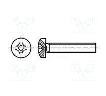 Screw; M3.5x8; 0.6; Head: cheese head; Phillips; PH2; steel; zinc | B3.5X8/BN384  | 1154389