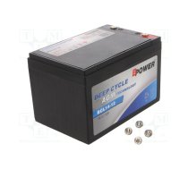 Re-battery: acid-lead; 12V; 14Ah; AGM; maintenance-free,left + | ACCU-BCL14-12/BP  | BCL14-12