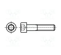 Screw; M10x25; 1.5; Head: cheese head; hex key; HEX 8mm; DIN 912 | M10X25/D912-A2  | M10X25/D912-A2