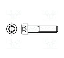 Screw; M3x16; 0.5; Head: cheese head; hex key; HEX 2,5mm; DIN 912 | M3X16/D912-A2  | M3X16/D912-A2