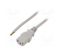 Cable; 3x0.75mm2; IEC C13 female,cables; PVC; 0.5m; grey; 10A; 250V | SN31-3/07/0.5GY | LT-501 H05VV-F 0.75/3C GRY 0.5M END
