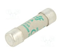 Fuse: fuse; aM; 10A; 500VAC; ceramic,cylindrical,industrial | 440110  | 440110