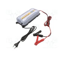 Charger: for rechargeable batteries; 12/24V; 20A; 20÷200Ah; IP65 | PA-12/24V-20A-LCD  | 6PRO122420