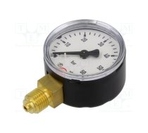 Manometer; 0÷60bar; 50mm; non-aggressive liquids,inert gases | 110  | 110