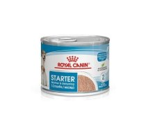 ROYAL CANIN Starter Mousse Mother & Babydog - can 195g | AMABEZKAR0916 | 9003579311462 | AMABEZKAR0916