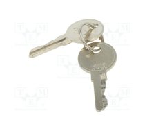 Key; Key code: 1333; 2pcs. | ETI-KEY-1333-SET  | KEY-1333