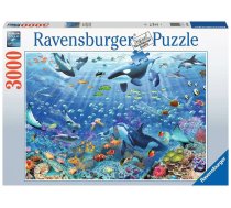 Puzzle 3000 elements Underwater world | WZRVPT0UJ017444  | 4005556174447 | 17444