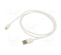 Cable; USB 2.0; Apple Lightning plug,USB A plug; nickel plated | AK-USB-30  | AK-USB-30