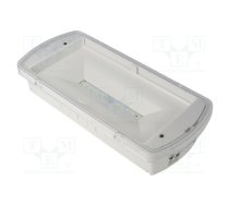 Lamp: LED emergency luminaire; SafeLite; IP42; white; 230VAC; 2Ah | SL2MNM42F3C3A  | SL2MNM42F3C3A