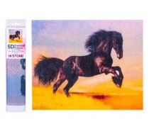 Diamond mosaic - Black horse | JINPXZ0UC049438  | 5902444049438 | NO-1004943