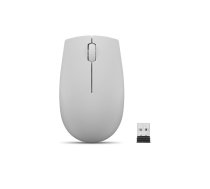 Lenovo | Compact Mouse with battery | 300 | Wireless | Arctic Grey | GY51L15678  | 195892080718