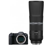 Canon EOS RP + RF 800mm f/ 11 IS STM | 9949292185431
